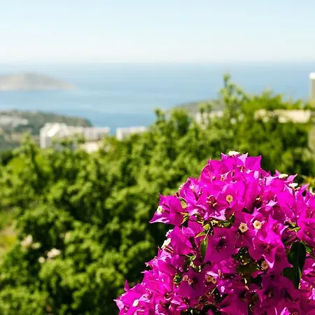 Aegean Hills Гюмюшлюк