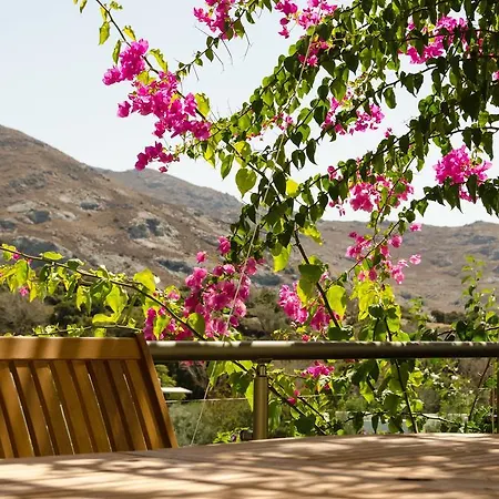 Aegean Hills