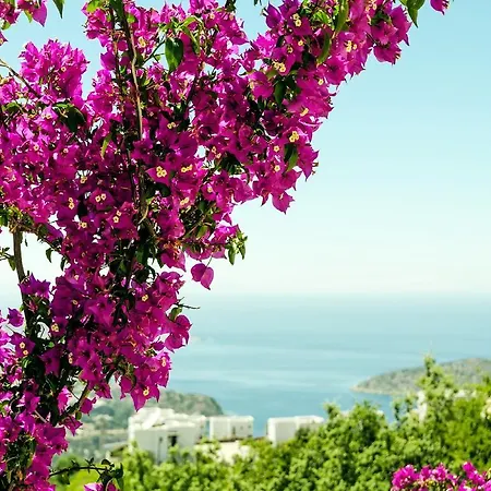 Aegean Hills *